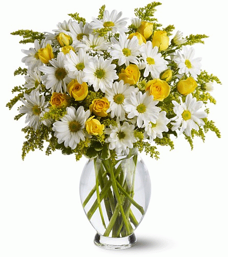 Открытка Белые ромашками с желтыми розами