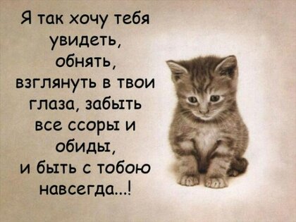 Картинки с надписями, всего 57 шт. 1. От паразитов. Не поспоришь.