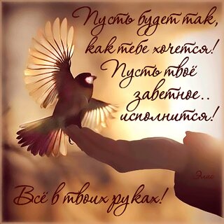 pust-budet-tak-kak-tebe-xochetsya-pust-tvoe-zavetnoe-ispolnitsya-vse-v-tvoix-rukax.jpg?z=126