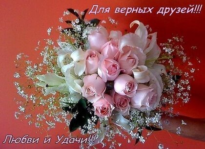 🌷Красивые открытки и видео для друзей🌷