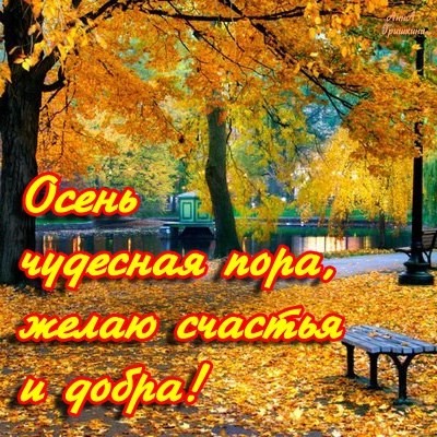 Открытка Осень чудесная пора, желаю счастья и добра!