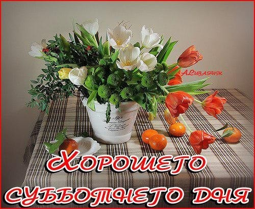 Схема вязания чехла для спиц Схема вязания чехла для спиц