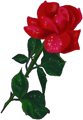 Анимированная открытка "Красная роза блеск роза гиф"