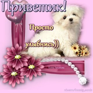 картинки просто так: nitkiuu99 — LiveJournal