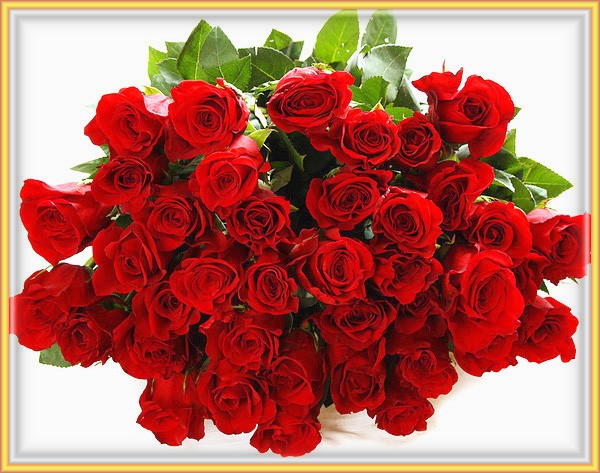 Фото Открытка с розами, более 42 качественных бесплатных стоковых фото