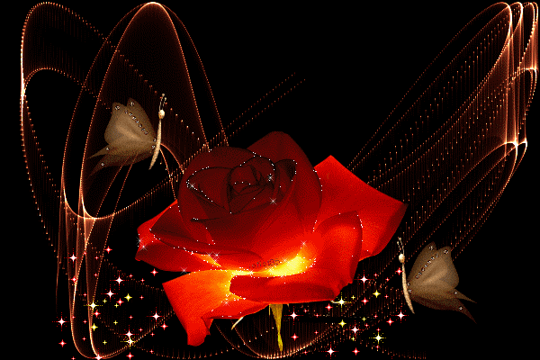 Анимированная открытка Роза цветы розы анимация