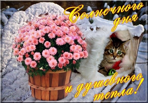 СЦЕНАРИЙ ВСТРЕЧИ ФЕСТИВАЛЬ ЦВЕТОВ. КОРПОРАТИВУС СЦЕНАРИЙ ВСТРЕЧИ ФЕСТИВАЛЬ ЦВЕТОВ. КОРПОРАТИВУС