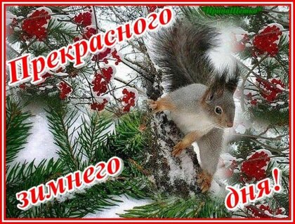 prekrasnogo-zimnego-dnya.jpg?z=25