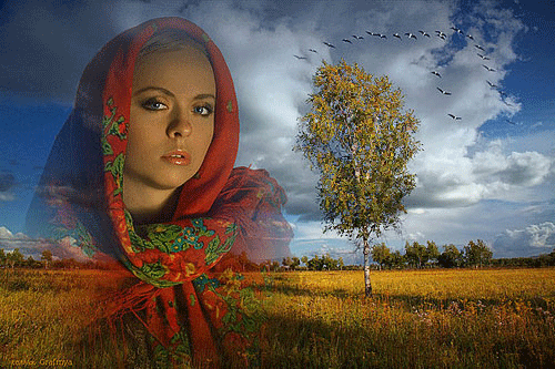 Анимированная открытка Девушка в большом красном платке на фоне осеннего поля.