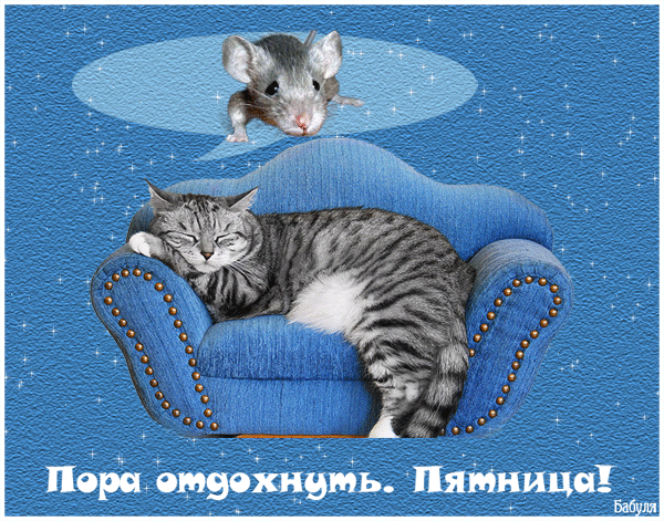 Кошки пятница открытка Кошки пятница открытка