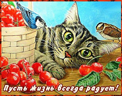 pust-zhizn-vsegda-raduet.jpg?z=56