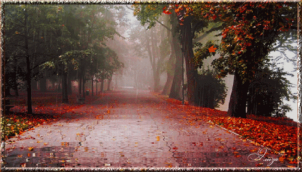 Дождливая Осенняя Погода Фото