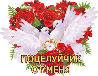 Открытки для друзей бесплатно | Group on OK | Join, read, and chat on OK!