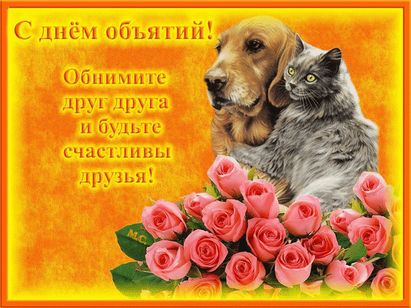 Анимированная открытка С днём объятий!, цветы, собака, кот