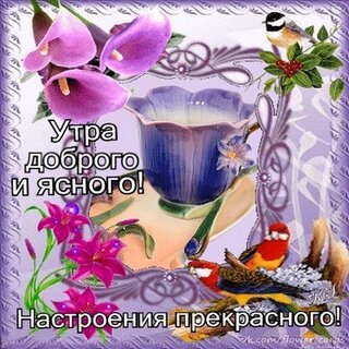 Открытки гифки доброго дня и хорошего настроения