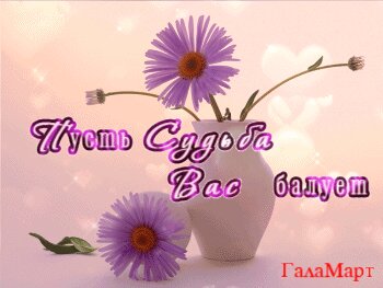 ‎App Store: Одноклассники: Социальная сеть