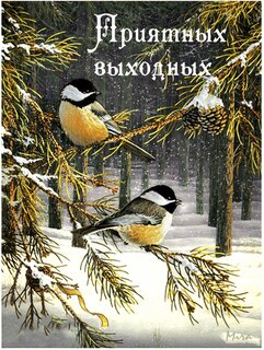 priyatnyx-vyxodnyx.jpg?z=339