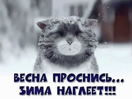 Скоро весна картинки