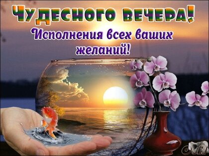 Открытки с пожеланиями на вечер