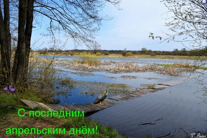 s-poslednim-aprelskim-dn-m.jpg?z=119