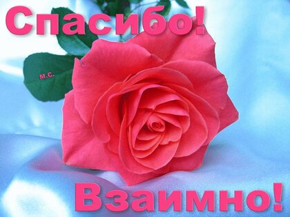 Только не «спасибо»: что ответить на признание в любви вместо трех главных слов