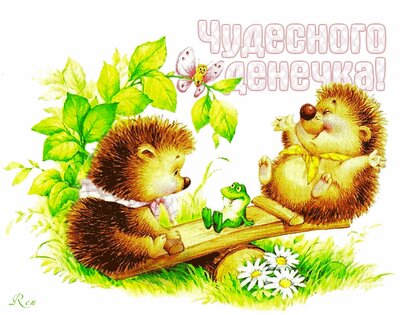Ежики - красивые картинки (100 фото)