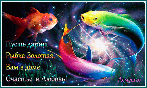 Рыбка исполнения желаний. Золотая рыбка исполняет желания. Исполнения желаний гиф. Рыбка исполняющая желания.
