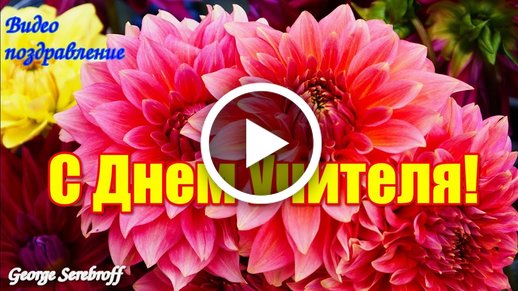 Видео Поздравление С Днем Учителя Фото Учителей