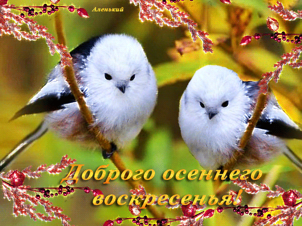 ТАТЬЯНА ВИНИКАЙНЕН авторские открытки