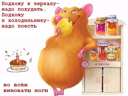 prikolnaya-mysh-na-diete.jpg?z=267