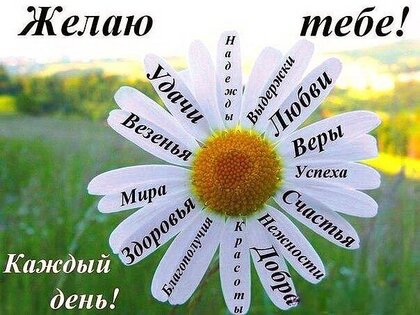 Открытки желаю тебе всего самого наилучшего