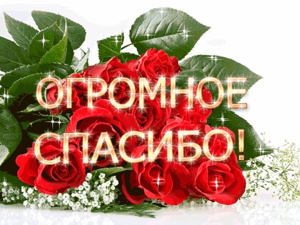 Видио открытки благодарности. Спасибо! | WEB PRESENT