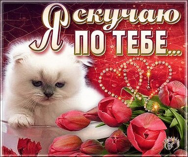 Скучаю без тебя — открытки