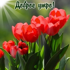 dobroe-utro.jpg?z=124