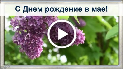 Поздравления родившимся в мае