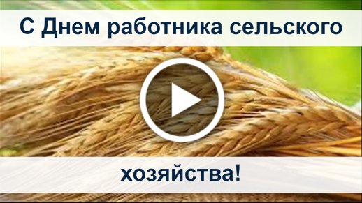 День работников сельского хозяйства Украины: яркие открытки и поздравления