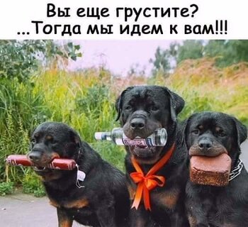 vy-eshh-grustite-togda-my-id-m-k-vam.jpg?z=340