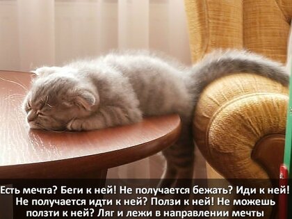 est-mechta-begi-k-nej-ne-poluchaetsya-bezhat-idi-k-nej-ne-poluchaetsya-idti-k-nej-polzi-k-nej-ne-mozhesh-polzti-k-nej-lyag-i-lezhi-v-napravlenii-mechty.jpg?z=70