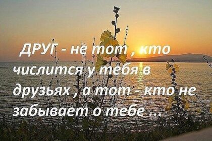 ty-nastoyashhij-drug.jpg?z=337