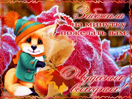 zabezhala-na-minutku-pozhelat-chudesnyx-vyxodnyx.jpg?z=325