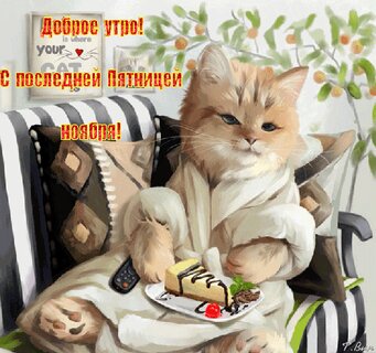 dobroe-utro-s-poslednej-pyatnicej-noyabrya.jpg?z=331