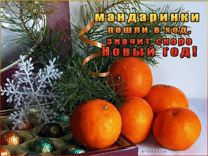 Почтовая эко-открытка для посткроссинга Мандарины-человечки / Магазин маленьких радостей