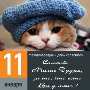 Красивые открытки, картинки на Международный (Всемирный) день спасибо. Часть 1-ая.