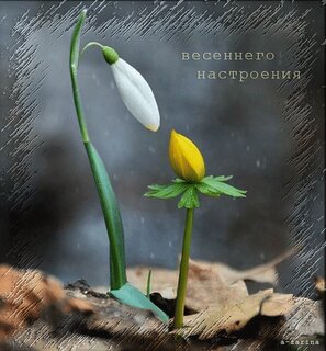Бумага двусторонняя Весенние открытки, коллекция Первоцветы, арт. prim10002