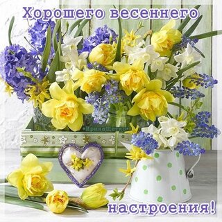 �������� �������� ��������� ����������