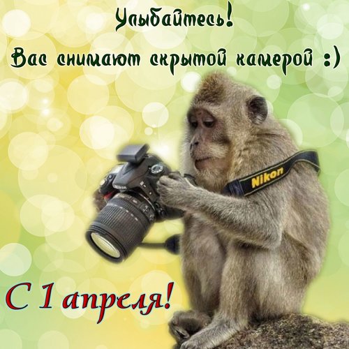 Вас Снимает Камера Фото