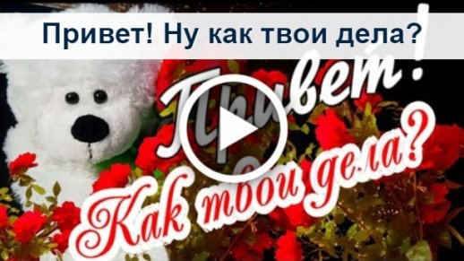 Белочка вещает Привет друг!!! Как твои дела ? Что нового? Пиши, что тебе откл | Instagram