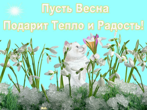 Русская природа весной преподносит нам впр. Дарю весну. Цветы подснежники.