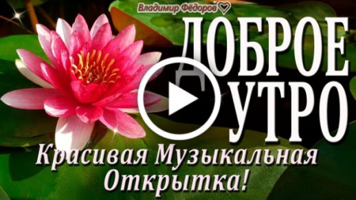 Ответы resses.ru: Как будет 