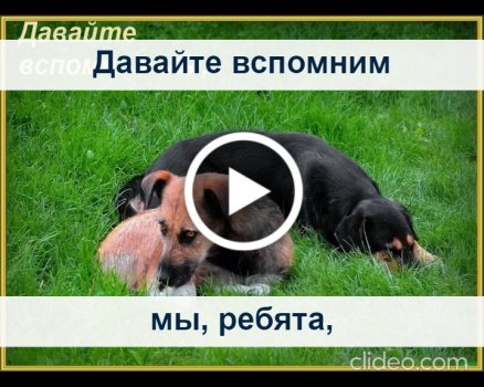 Открытки, шарфы, сладости: бездомные получили подарки от неравнодушных петербуржцев